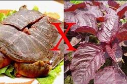 Nguyên tắc khi ăn rau dền ai cũng cần biết để khỏi mang bệnh vào người