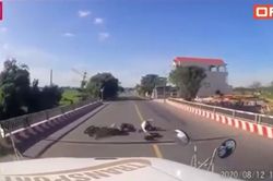 Clip 2 thanh niên phóng xe tốc độ cao tông phải người phụ nữ đi xe đạp, tình huống té ngã sau đó khiến dân mạng 'thót tim'