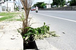 'Bẫy' trước nhà dân