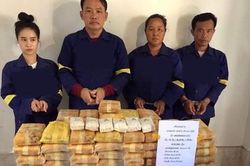 Mật phục trong rừng sâu bắt nhóm buôn ma túy xuyên quốc gia
