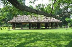 Phát huy giá trị Di tích quốc gia đặc biệt Tân Trào