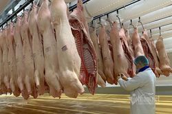 Giá thịt lợn giảm mạnh, bán 'không lấy lãi' lo đẩy hàng sớm