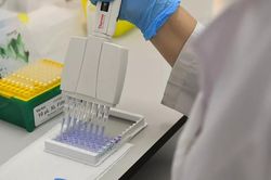 Nga bắt đầu sản xuất vaccine chống COVID-19