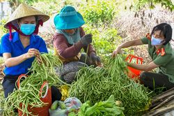 Nông dân tặng 6.000 kg rau cho người dân vùng phong tỏa
