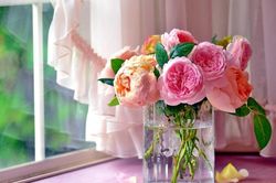 Tử vi tuần mới 17/8 - 23/8 của 12 cung hoàng đạo