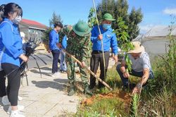Trồng, chăm sóc cây xanh trên Quốc lộ 20B và 27C