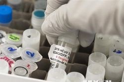 Anh kêu gọi nhóm người nguy cơ cao đăng ký thử nghiệm vaccine Covid-19