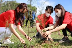 Mặc thời tiết nắng gắt, Đông Nhi - Ông Cao Thắng cùng Phạm Quỳnh Anh hào hứng trồng cây gây rừng