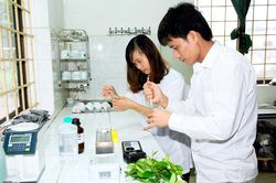 Nâng tầm thương hiệu, tăng sức cạnh tranh