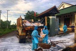 Thêm ổ dịch cúm A/H5N6, Đắk Lắk lập đoàn công tác khẩn