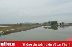 Quảng Chính vươn mình