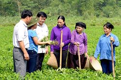 Chiêm Hóa giúp người nghèo vươn lên