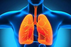 Những loại thực phẩm tốt nhất giúp cho phổi khỏe mạnh
