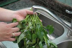 Thói quen 'chết người' khi luộc rau, nấu canh, không khác nào đang tự 'hạ độc' cả nhà