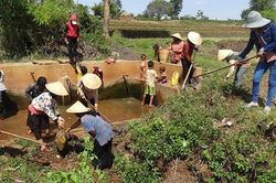 Các cấp Hội phụ nữ Gia Lai tích cực tham gia xây dựng nông thôn mới