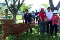 Hiệu quả từ các mô hình giảm nghèo