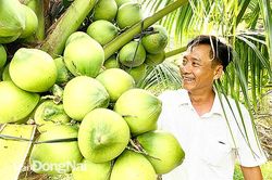 Phát triển nông nghiệp chất lượng cao