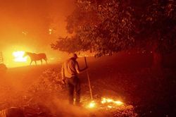 California trong vòng vây của 'giặc lửa'