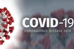 Covid-19: Nhật Bản và hàng loạt nước có số ca nhiễm mới tăng cao, quan chức Nga đầu tiên tiêm vaccine