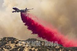 Ban bố tình trạng khẩn cấp tại bang California do cháy rừng