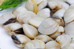 Mua ngao, thấy có 2 dấu hiệu này chọn ngay lập tức, ngao căng mọng và nhiều thịt