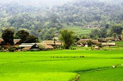Ngẩn ngơ vẻ đẹp thôn Tha