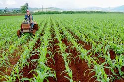 Xây dựng Đơn Dương phát triển toàn diện, bền vững, hướng đến huyện nông thôn mới kiểu mẫu