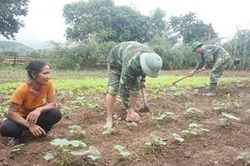 Giúp người Đan Lai thoát nghèo