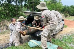 Phát hiện quả 'bom khoan' nặng 227 kg tại mỏ đá