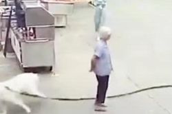 Đang đứng trên đường, cụ bà bị dây xích chó quấn vào chân ngã xuống đất tử vong