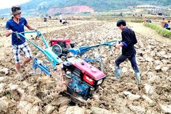 Niềm vui trên những cánh đồng