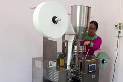 Làm giàu từ trồng tam thất
