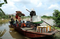 Nước sông Hồng dâng cao, người lái đò chở khách ở Hà Nội kiếm bộn tiền