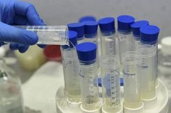 Hàn Quốc ráo riết tìm nguồn cung vaccine phòng Covid-19