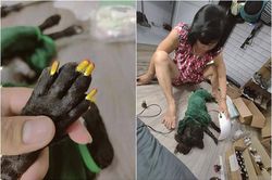 Mẹ làm nail cho chó cưng, thanh niên chỉ biết ngậm ngùi cay đắng