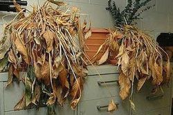 3 thứ tiếc tới mấy cũng nên vứt bỏ để kích thích lộc khí vào nhà
