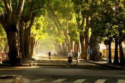 Thời tiết cả nước ra sao trong tuần tới?