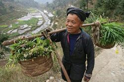 Lương hưu người cao tuổi Trung Quốc chỉ đủ mua... dầu và muối