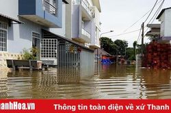 'Khu phố tắc'