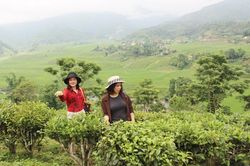 Cần đầu tư phát triển du lịch nông nghiệp