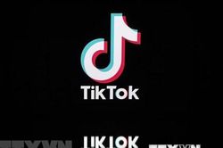 Tiktok tuyên bố sẽ kiện chính quyền Mỹ ra tòa về việc đàn áp