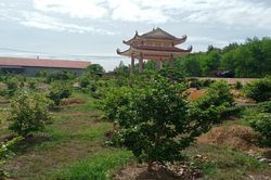Dân phản đối việc chất phân bò, rơm rạ trong nghĩa trang liệt sĩ xã Nhơn Thọ (Bình Định)