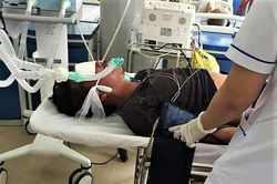 Người đàn ông bị rắn hổ mang chúa cắn đang nguy kịch