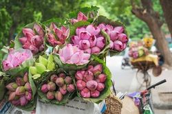 Những loài hoa tài lộc, may mắn đắt hàng nhất mùa Vu lan