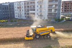 Lão nông kiên nhẫn bám trụ trồng trọt ở mảnh đất lọt thỏm giữa 'rừng' chung cư
