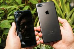 Hàng loạt mẫu iPhone chính hãng biến mất khỏi thị trường Việt Nam