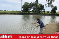 Hội Người cao tuổi TP Thanh Hóa phát huy vai trò 'Tuổi cao – gương sáng'