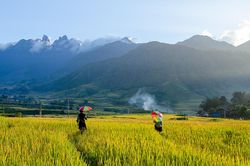 Mùa vàng dưới chân núi Ngũ Chỉ Sơn