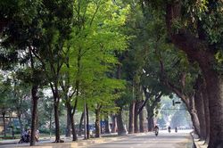 Chất lượng không khí Hà Nội phụ thuộc lớn vào sự thay đổi của thời tiết