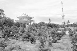 Đừng làm như thế ở nghĩa trang liệt sĩ